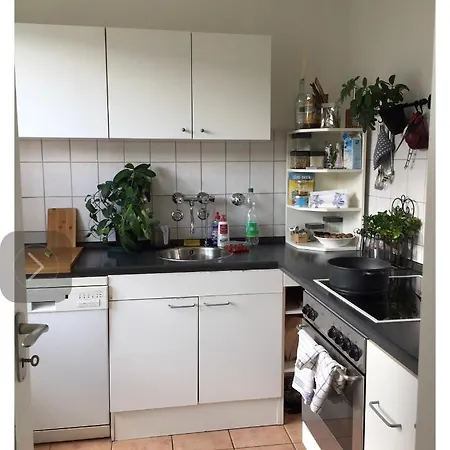Tree House Apartment