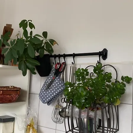 Tree House Apartment *
